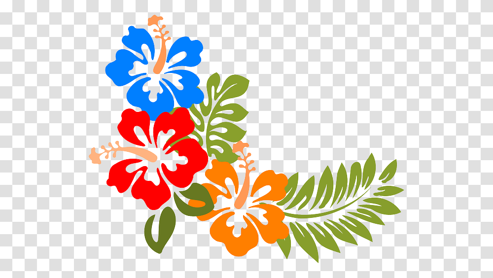 Hawaiian Flowers, Floral Design, Pattern Transparent Png