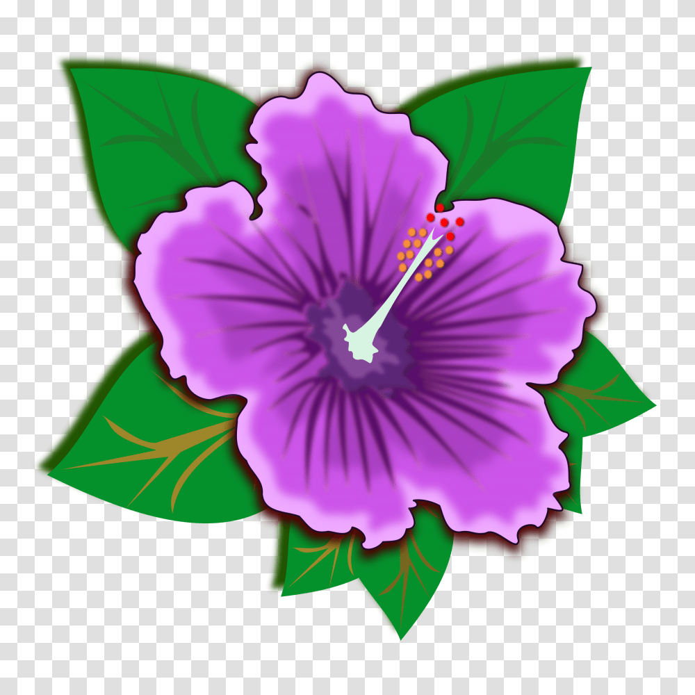 Hawaiian Flowers Hawaiian Clipart Purple Hawaiian Rainforest Plants Clip Art, Blossom, Geranium, Hibiscus, Petal Transparent Png