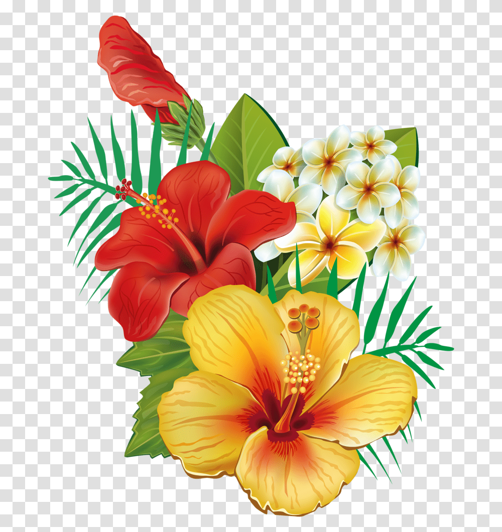 Hawaiian Flowers Hawaiian Flowers, Plant, Hibiscus, Blossom, Pollen Transparent Png