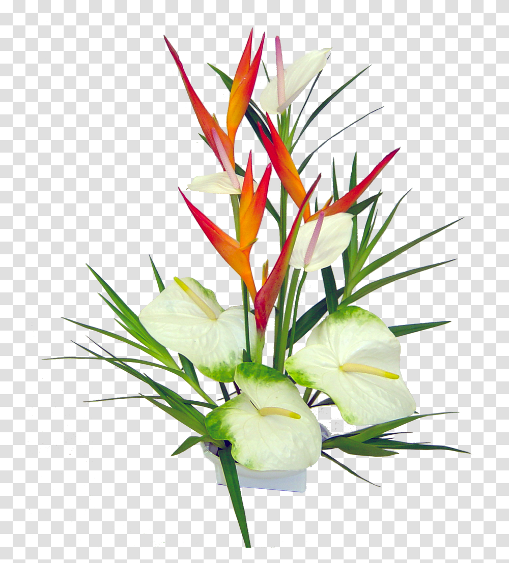 Hawaiian Flowers Hawaiian Tropical Flowers, Plant, Blossom, Flower Arrangement, Ikebana Transparent Png