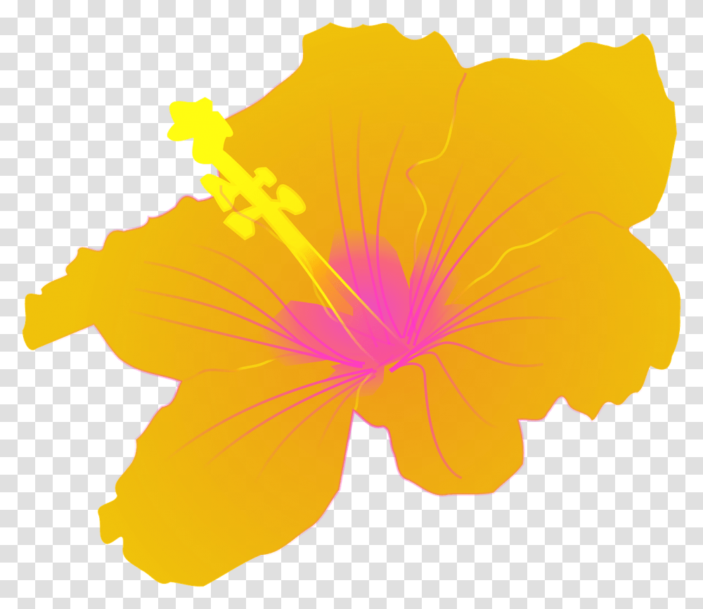 Hawaiian Flowers, Hibiscus, Plant, Blossom Transparent Png