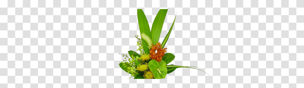 Hawaiian Flowers Tropical Flowers Delivery Anywhere In Usa, Plant, Ikebana, Vase Transparent Png