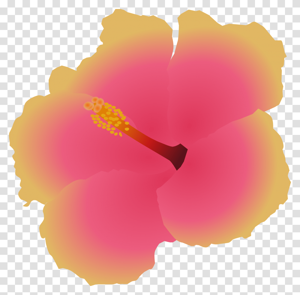 Hawaiian Hibiscus, Flower, Plant, Blossom, Rose Transparent Png