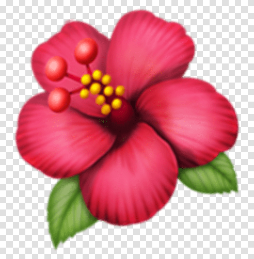 Hawaiian Hibiscus, Plant, Flower, Blossom, Geranium Transparent Png