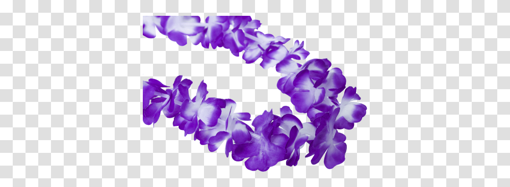 Hawaiian Lei Garland Purple Lovely, Plant, Flower, Blossom, Petal Transparent Png