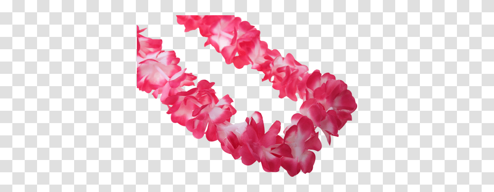 Hawaiian Lei Garlands Colour Event Supplies Running Imp Artificial Flower, Petal, Plant, Blossom, Carnation Transparent Png