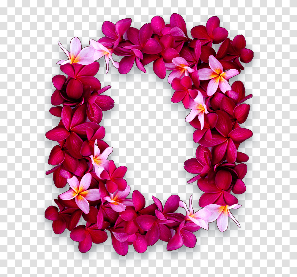 Hawaiian Leis Flower, Plant, Blossom, Petal, Flower Arrangement Transparent Png