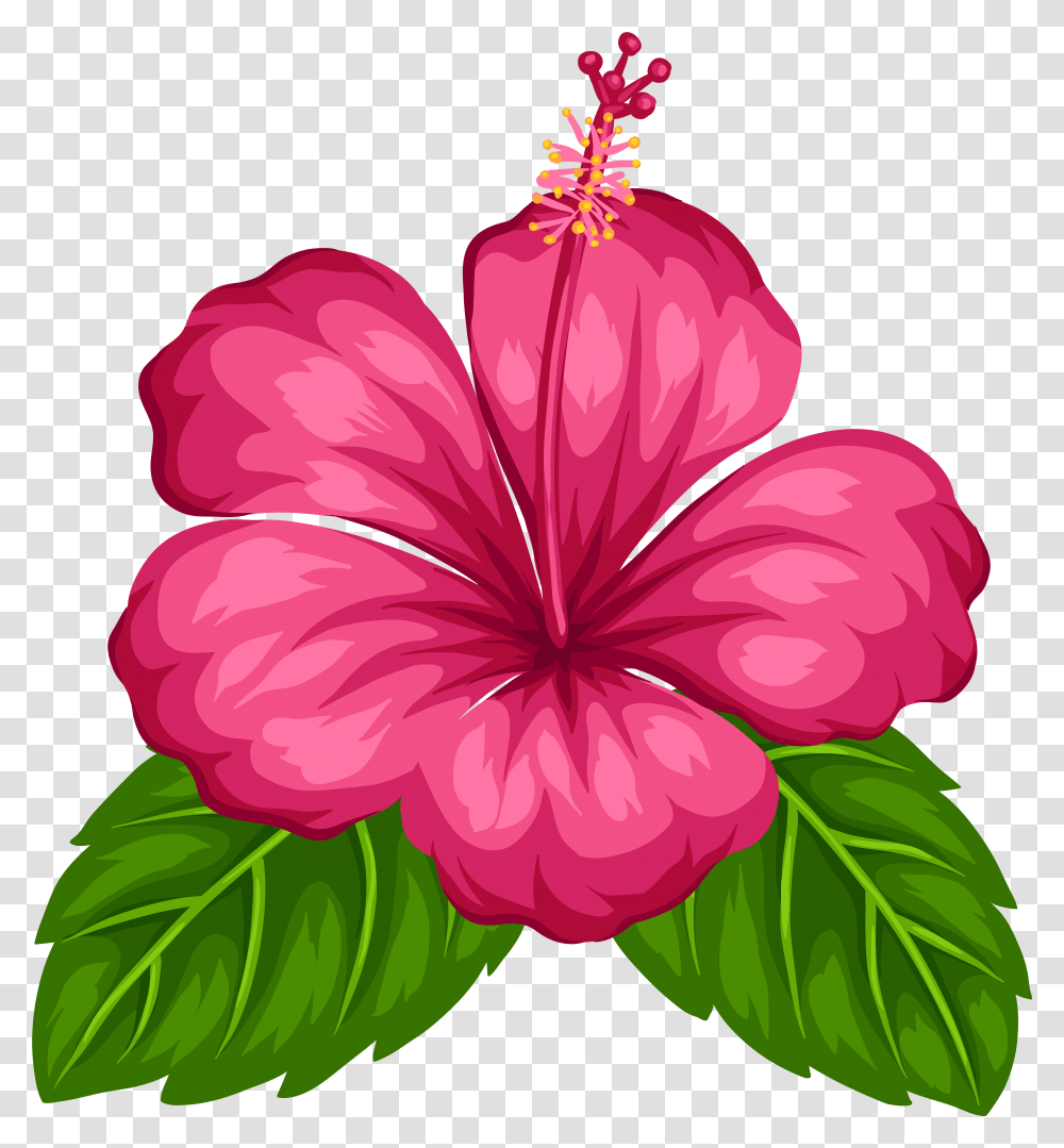 Hawaiian, Plant, Hibiscus, Flower, Blossom Transparent Png