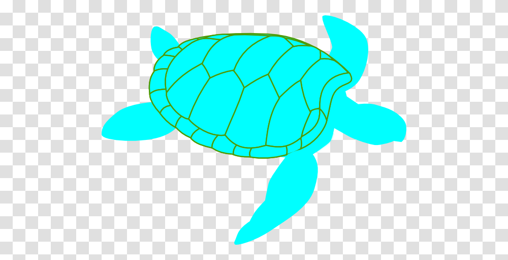Hawaiian Sea Turtle Clipart Free Images Pool, Sea Life, Animal, Reptile, Tortoise Transparent Png