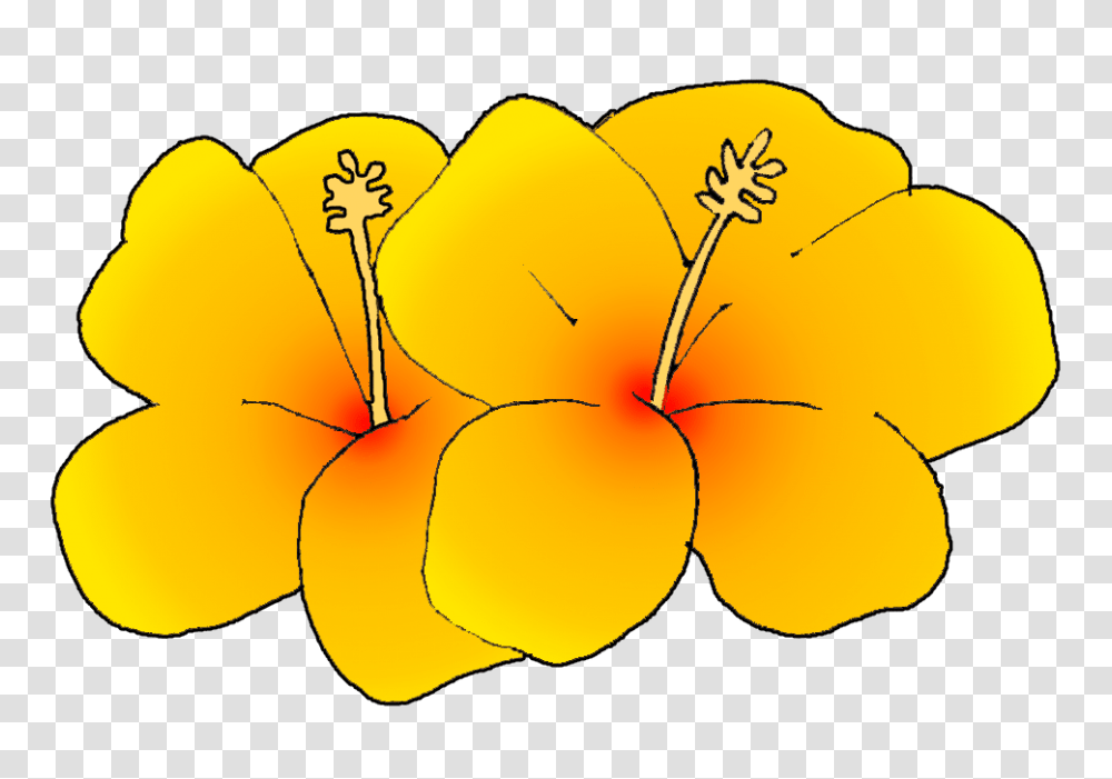 Hawaiin Flower Scrapbooking Flowers Flower, Plant, Petal, Blossom, Hand Transparent Png