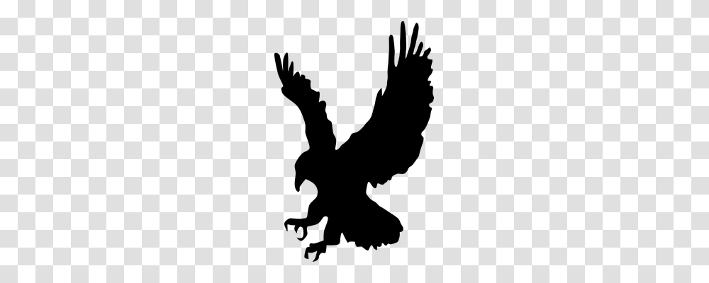 Hawk Nature, Gray, World Of Warcraft Transparent Png