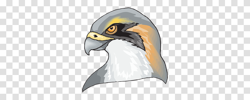 Hawk Animals, Beak, Bird, Eagle Transparent Png