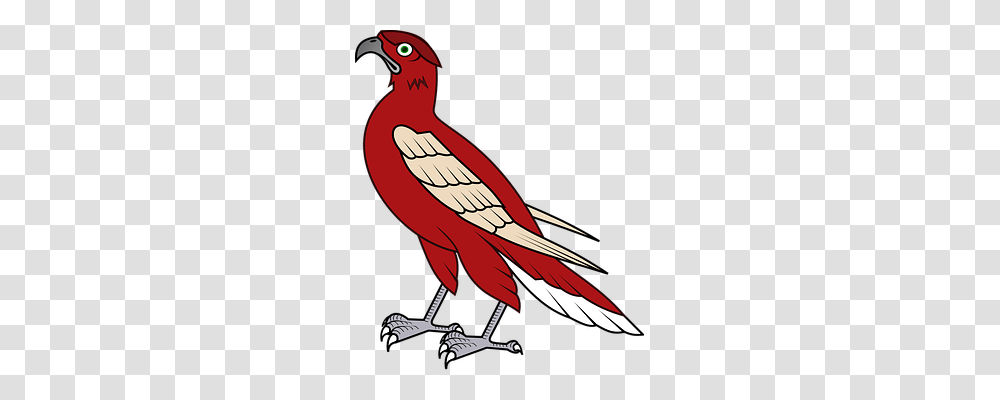 Hawk Animals, Bird, Vulture, Cardinal Transparent Png