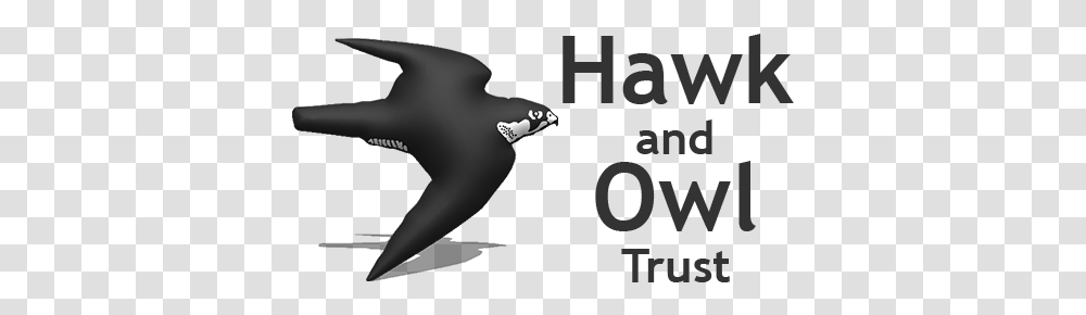 Hawk And Owl Trust Conserving Wild Birds Of Prey Their Hawk And Owl Trust Logo, Blow Dryer, Animal, Reptile, Text Transparent Png