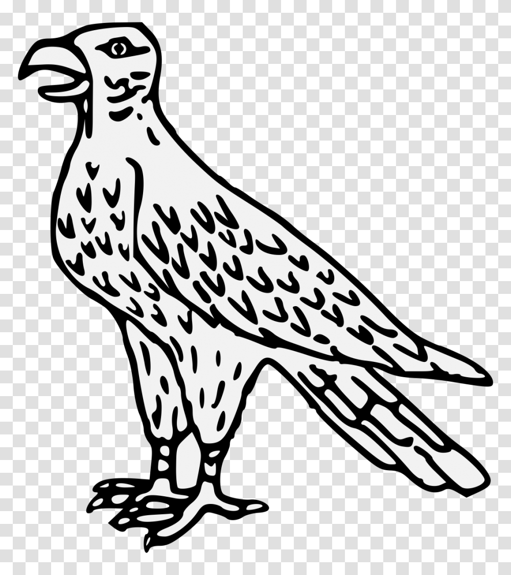 Hawk, Animal, Bird, Vulture, Hammer Transparent Png