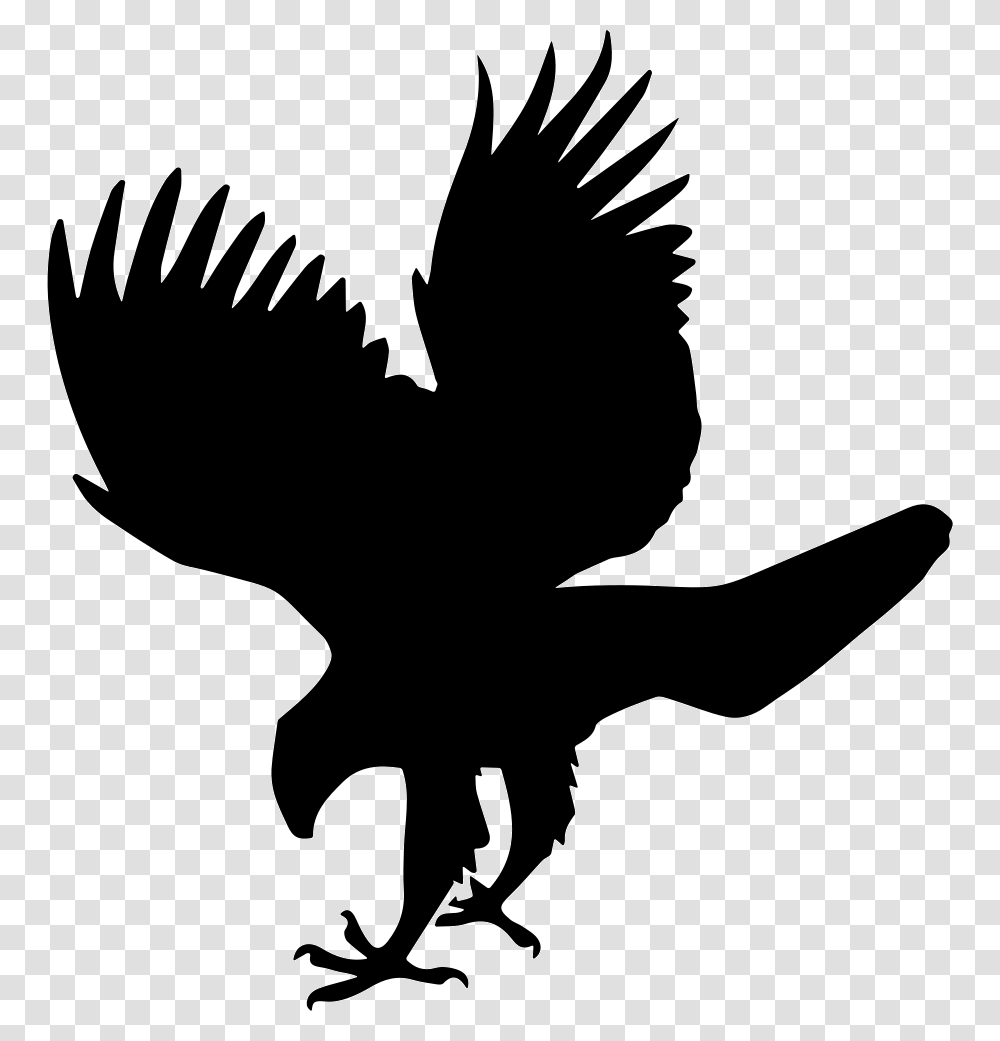 Hawk Bird Animal Shape Hawk Icon, Silhouette, Stencil, Person, Human Transparent Png