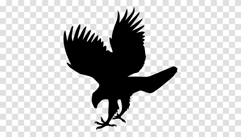 Hawk Bird Animal Shape Icon, Gray, World Of Warcraft Transparent Png