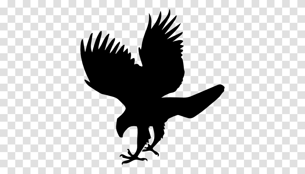 Hawk Bird Animal Shape, Silhouette, Stencil, Person, Human Transparent Png