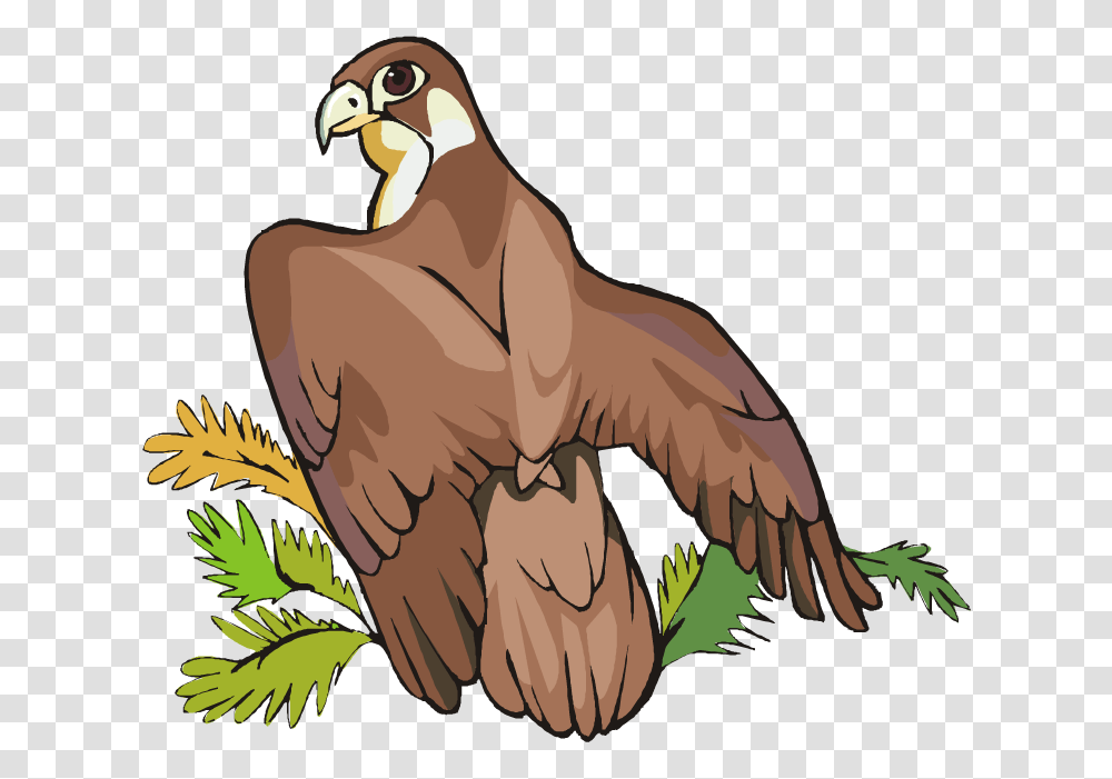 Hawk Clip Art Clipart Wikiclipart Intended For Hawk Clipart, Vulture, Bird, Animal, Condor Transparent Png
