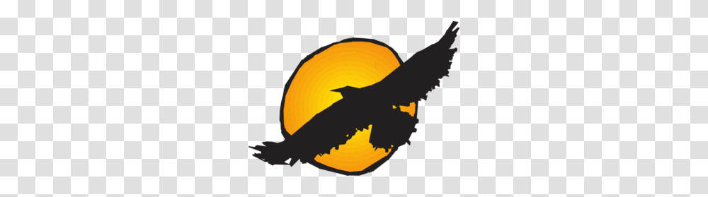 Hawk Clip Art For Web, Pumpkin, Food, Animal, Ninja Transparent Png