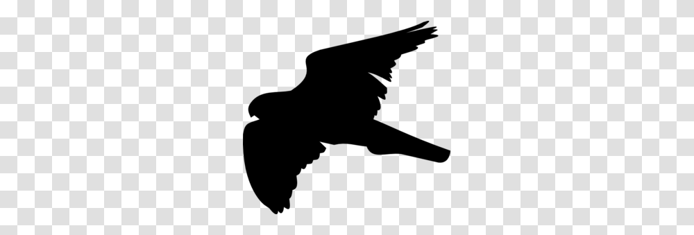 Hawk Clip Art, Gray, World Of Warcraft Transparent Png