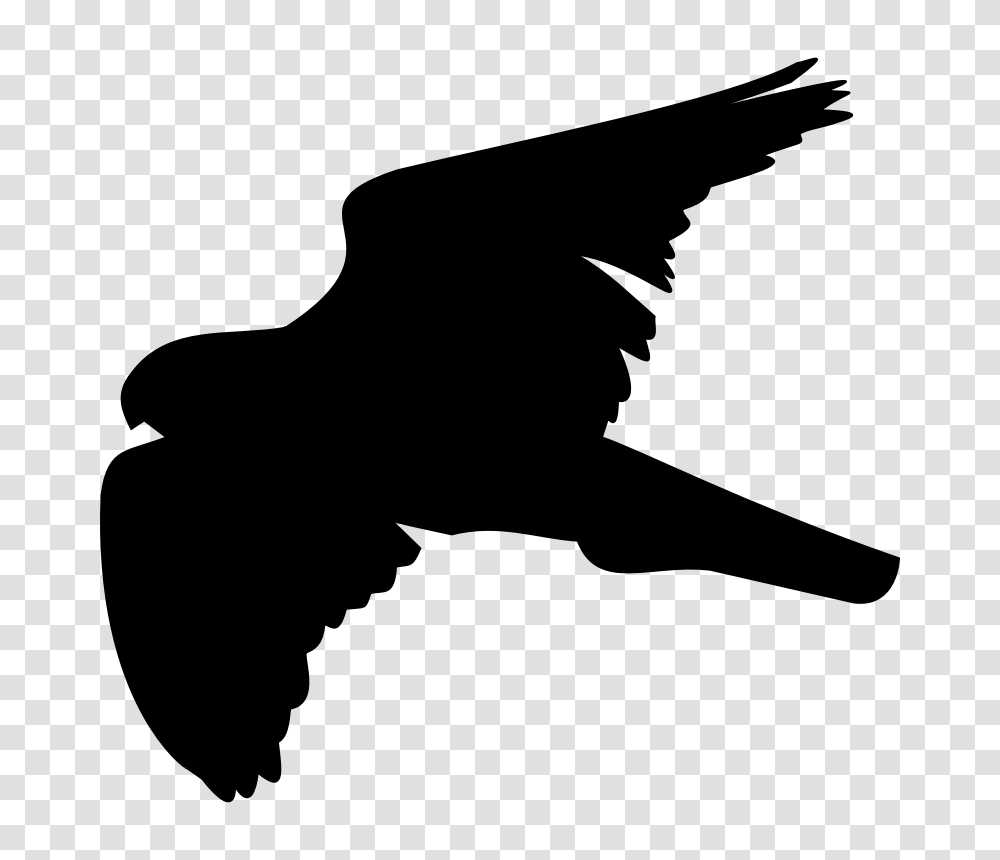 Hawk Clip Art, Gray, World Of Warcraft Transparent Png