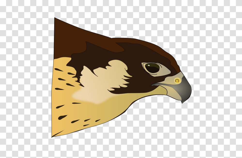Hawk Clip Arts For Web, Buzzard, Bird, Animal, Eagle Transparent Png
