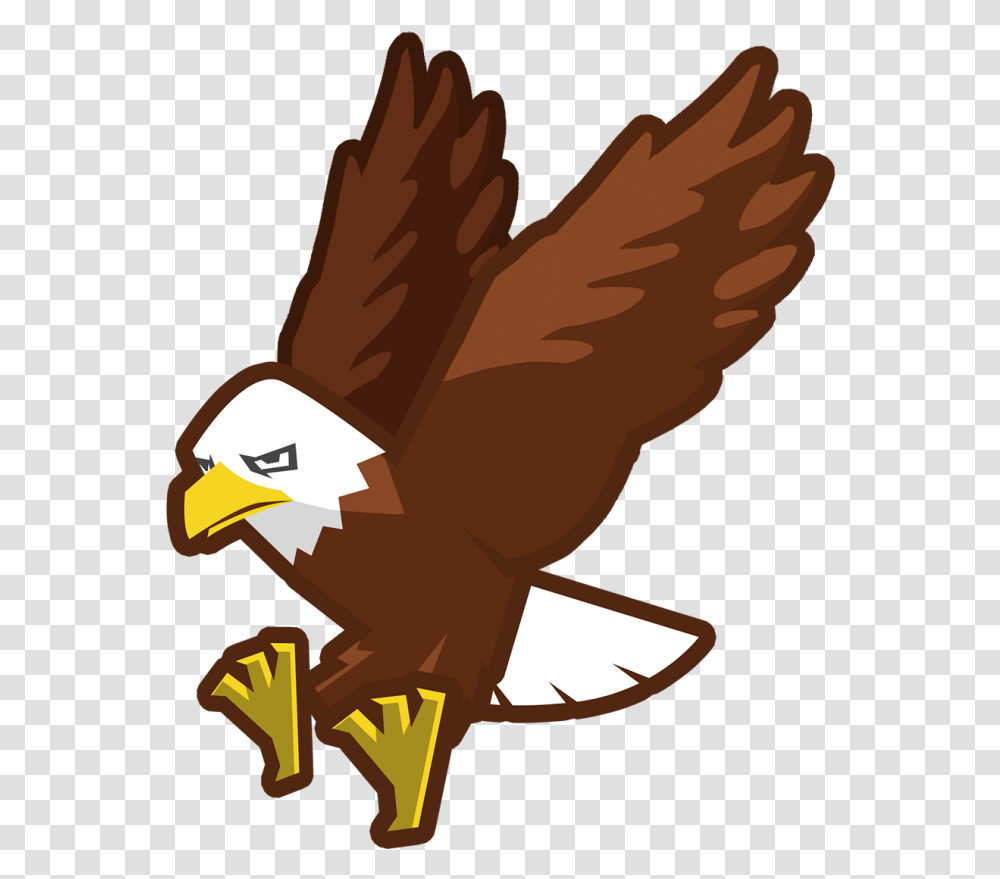 Hawk Clipart Beak, Eagle, Bird, Animal, Bald Eagle Transparent Png