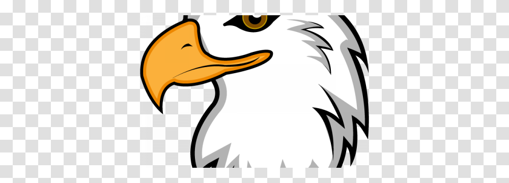 Hawk Clipart German, Beak, Bird, Animal, Eagle Transparent Png