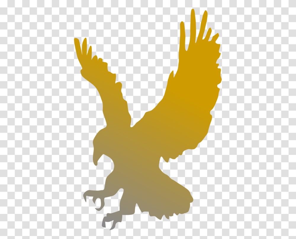 Hawk Clipart, Leaf, Plant, Person, Human Transparent Png