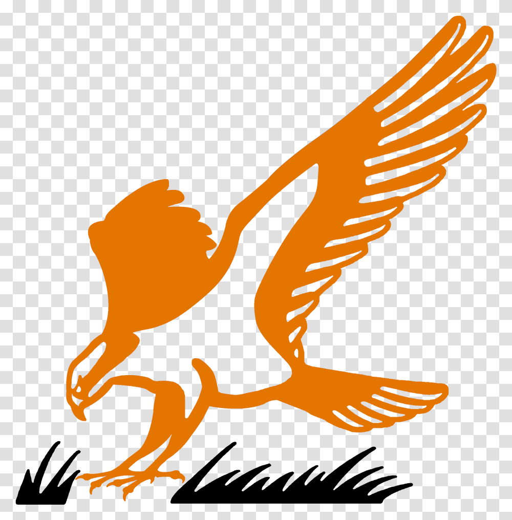 Hawk Clipart Osprey Portable Network Graphics, Eagle, Bird, Animal, Flying Transparent Png