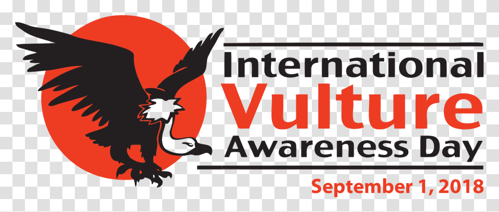 Hawk Clipart Raptor Bird International Vulture Awareness Day 2018, Text, Alphabet, Animal, Ninja Transparent Png