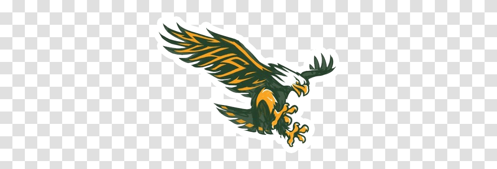 Hawk Clipart Sport Mascot, Eagle, Bird, Animal, Flying Transparent Png