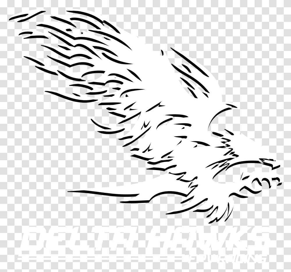 Hawk, Eagle, Bird, Animal Transparent Png