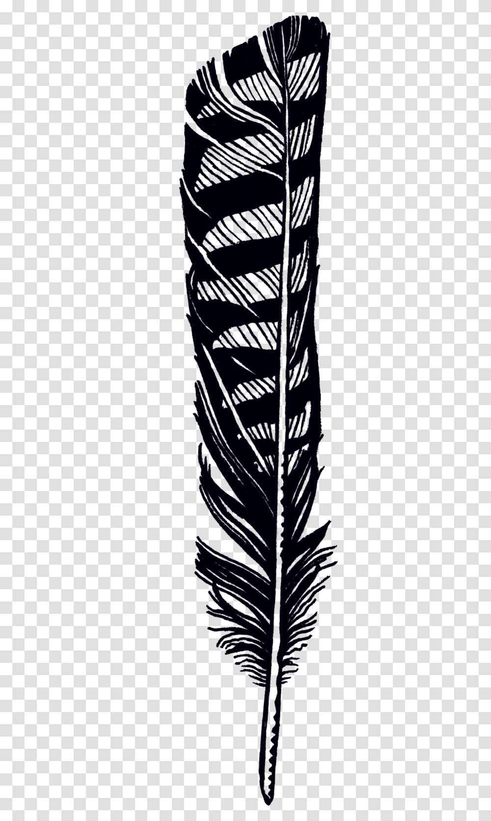 Hawk Feather Tattoo Designs, Nature, Outdoors, Plant Transparent Png