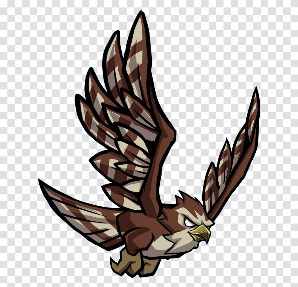 Hawk Hawk, Eagle, Bird, Animal, Flying Transparent Png