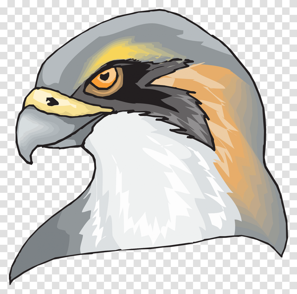 Hawk Head, Beak, Bird, Animal, Helmet Transparent Png