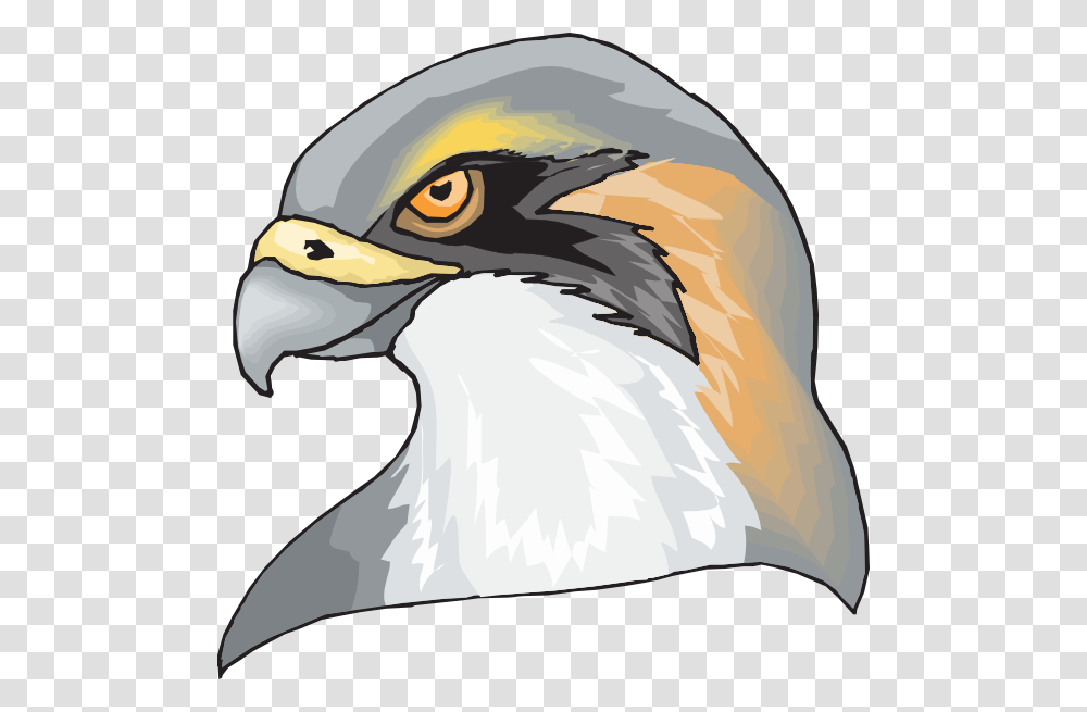 Hawk Head Clip Art, Beak, Bird, Animal, Helmet Transparent Png