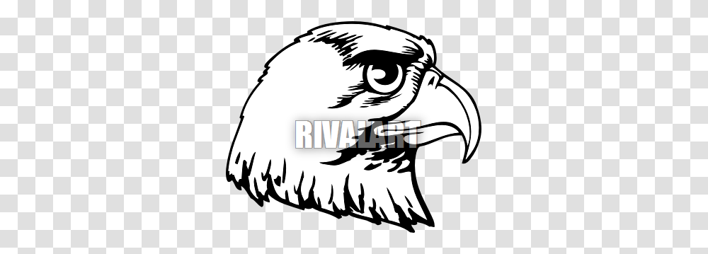 Hawk Head Clipart, Eagle, Bird, Animal, Beak Transparent Png