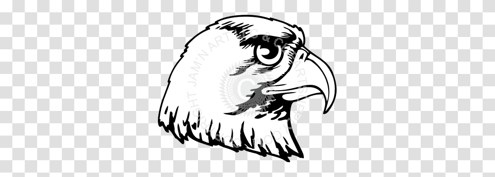 Hawk Head With Curved Beak, Eagle, Bird, Animal, Helmet Transparent Png