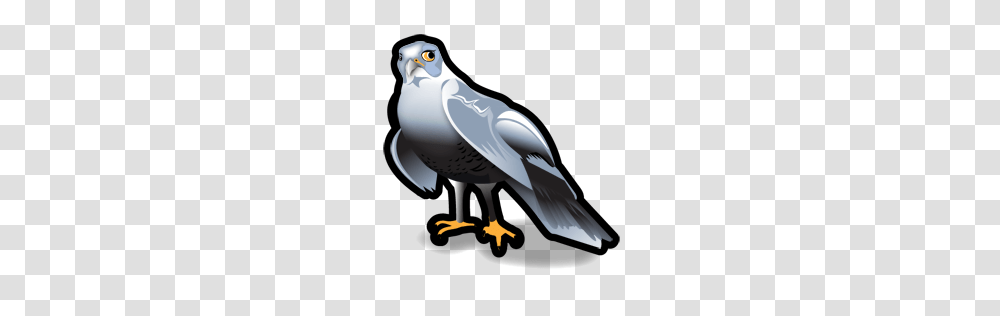 Hawk Icon Stroke Animals Iconset Iconshock, Bird, Kite Bird, Beak, Eagle Transparent Png