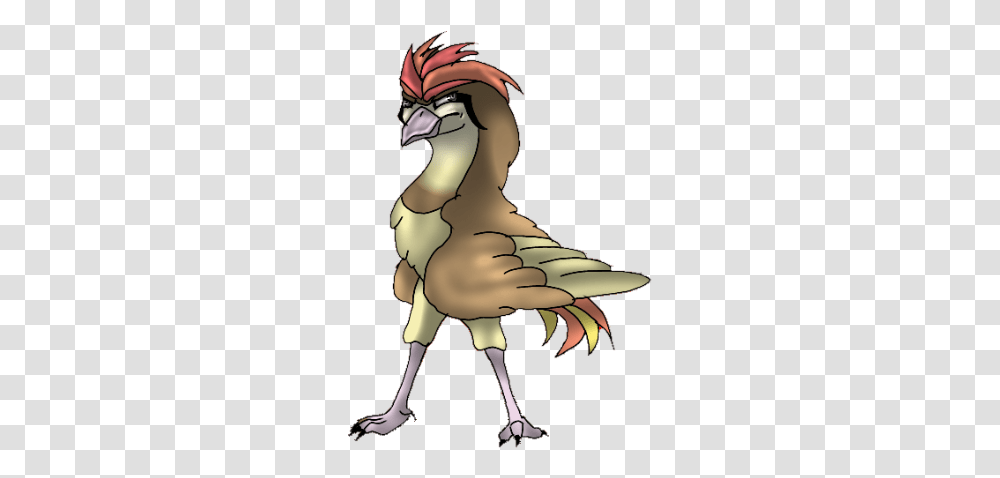 Hawk Kingdom Of Pokemon Wiki Fandom Rooster, Person, Human, Bird, Animal Transparent Png