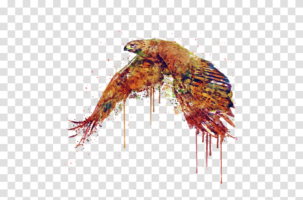 Hawk Painting, Sea Life, Animal, Mammal, Seahorse Transparent Png