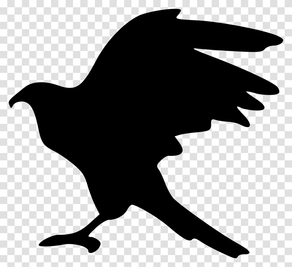 Hawk, Silhouette, Bird, Animal, Dog Transparent Png