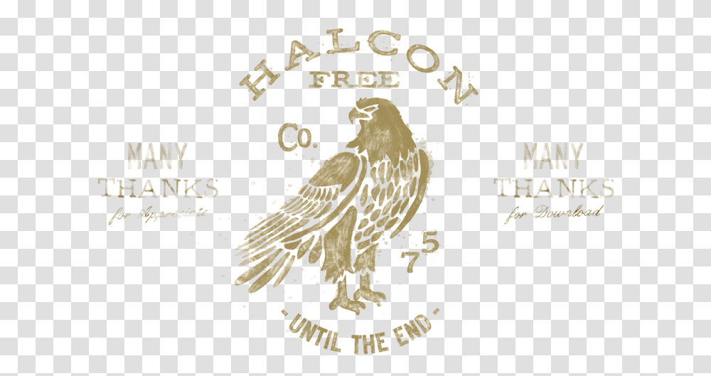 Hawk, Logo, Animal Transparent Png