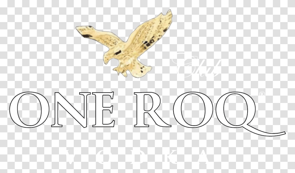 Hawk, Number, Animal Transparent Png