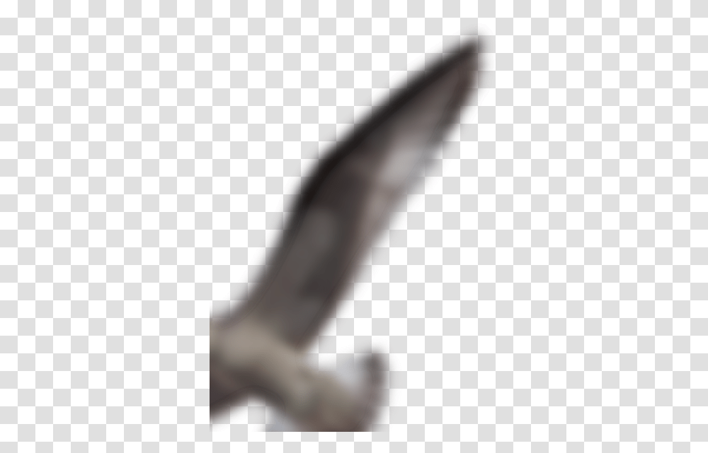 Hawk, Weapon, Weaponry, Blade, Knife Transparent Png