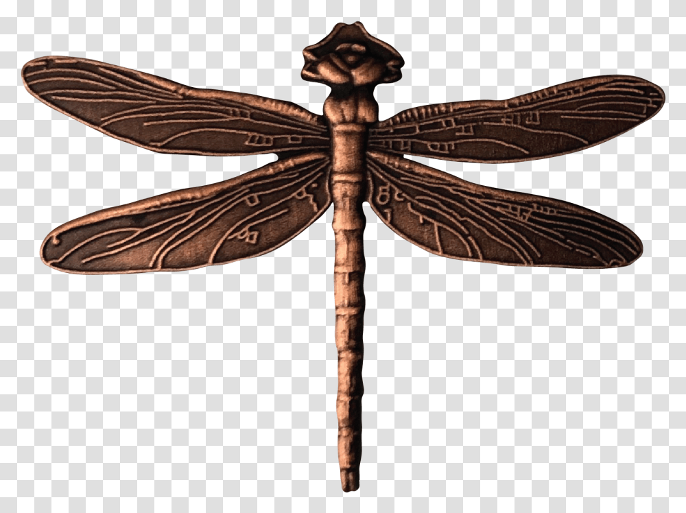 Hawker Dragonflies, Axe, Tool, Dragonfly, Insect Transparent Png