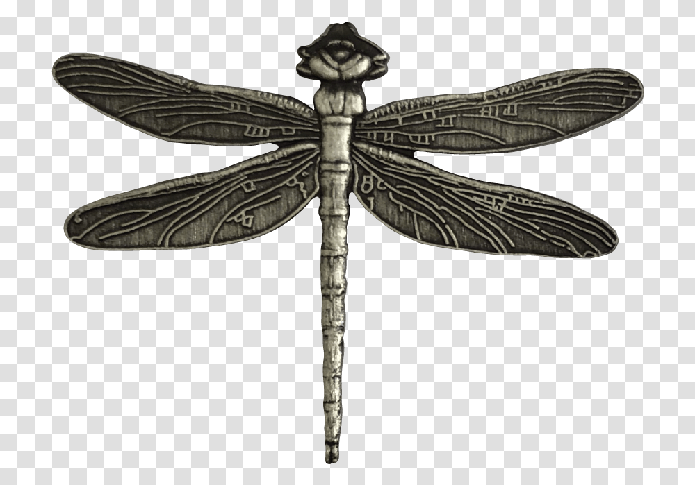 Hawker Dragonflies, Dragonfly, Insect, Invertebrate, Animal Transparent Png