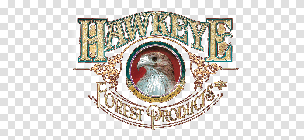 Hawkeye Forest Products Accipitridae, Logo, Symbol, Trademark, Eagle Transparent Png